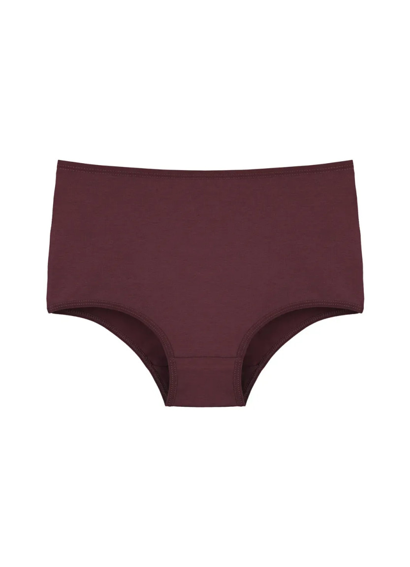 Donella 2671PD27 Assorted 10-Pack Women's Briefs — factory-direct from Turkey
