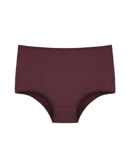 Donella 2671PD27 Assorted 10-Pack Women's Briefs — factory-direct from Turkey