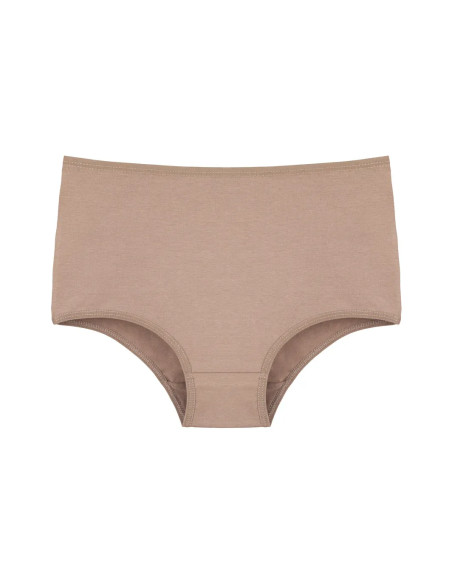 Donella 2671PD27 Assorted 10-Pack Women's Briefs — direct Turkish factory supply