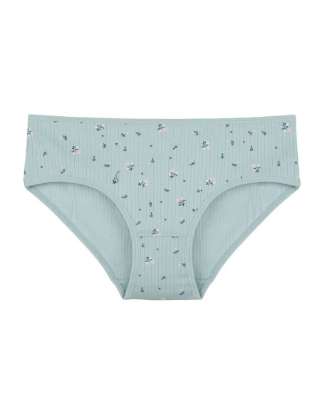Donella 311301 Assorted 10-Pack Women's Briefs — wholesale from Turkey