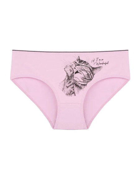Donella 3171PB199 Assorted 10-Pack Women's Briefs — direct Turkish factory supply