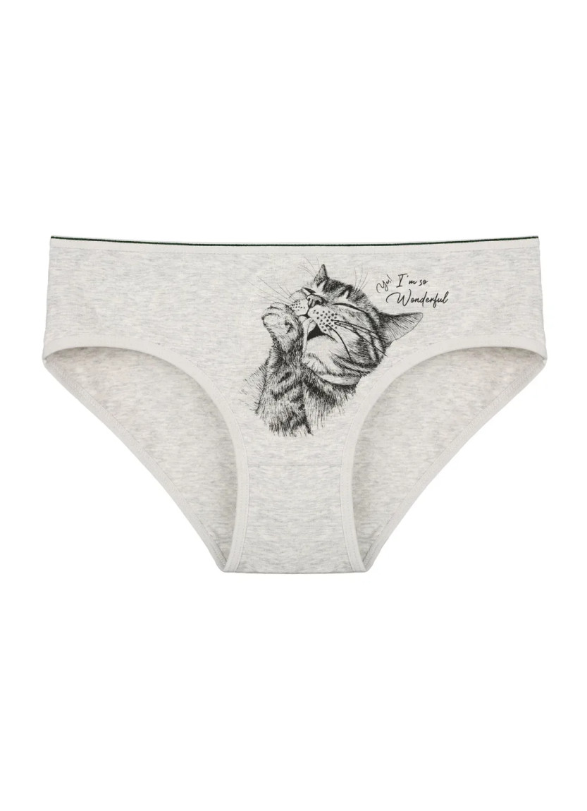 Donella 3171PB199 Assorted 10-Pack Women's Briefs — wholesale from Turkey