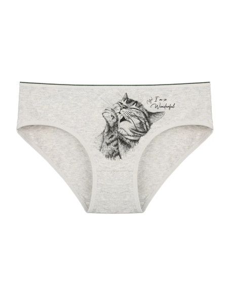 Donella 3171PB199 Assorted 10-Pack Women's Briefs — wholesale from Turkey