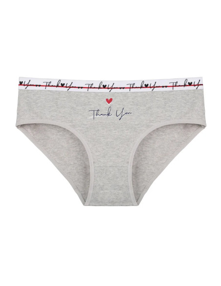 Donella 3171PB211 Assorted 10-Pack Women's Briefs — wholesale for boutiques