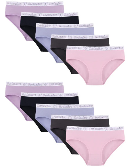 Donella 3171PD17 Assorted 10-Pack Women's Briefs — direct Turkish factory supply