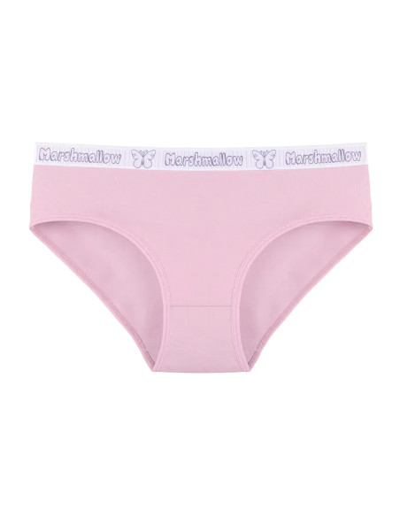 Donella 3171PD17 Assorted 10-Pack Women's Briefs — wholesale from Turkey