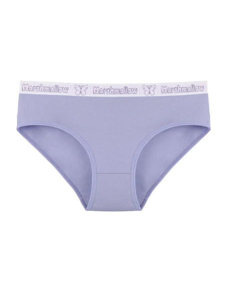 Donella 3171PD17 Assorted 10-Pack Women's Briefs — Turkish textile wholesale