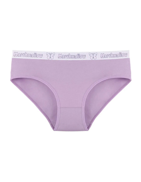 Donella 3171PD17 Assorted 10-Pack Women's Briefs — wholesale from Turkey