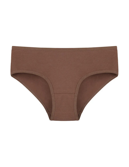 Donella 3171PD27 Assorted 10-Pack Women's Briefs — wholesale for boutiques
