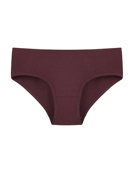 Donella 3171PD27 Assorted 10-Pack Women's Briefs — Turkey wholesale collection