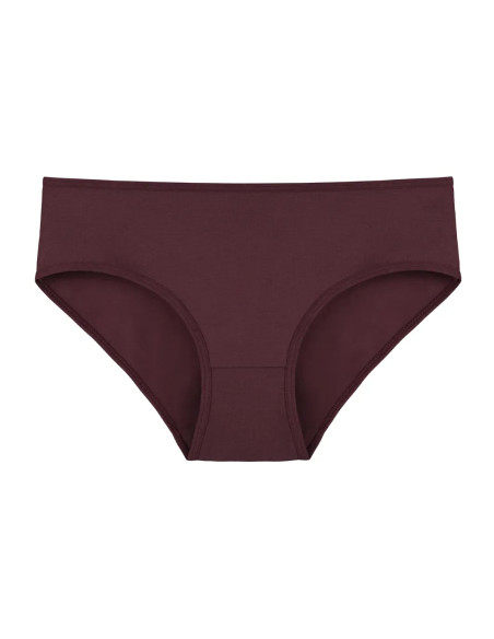 Donella 3171PD28 Assorted 10-Pack Women's Briefs — factory-direct from Turkey