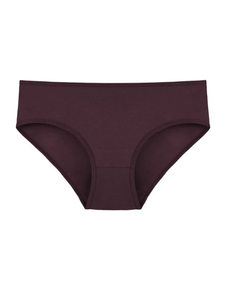 Donella 3171PD28 Assorted 10-Pack Women's Briefs — direct Turkish factory supply