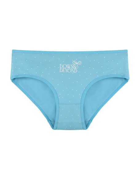 Donella 3181B47 Assorted 10-Pack Women's Briefs — Istanbul wholesale supplier