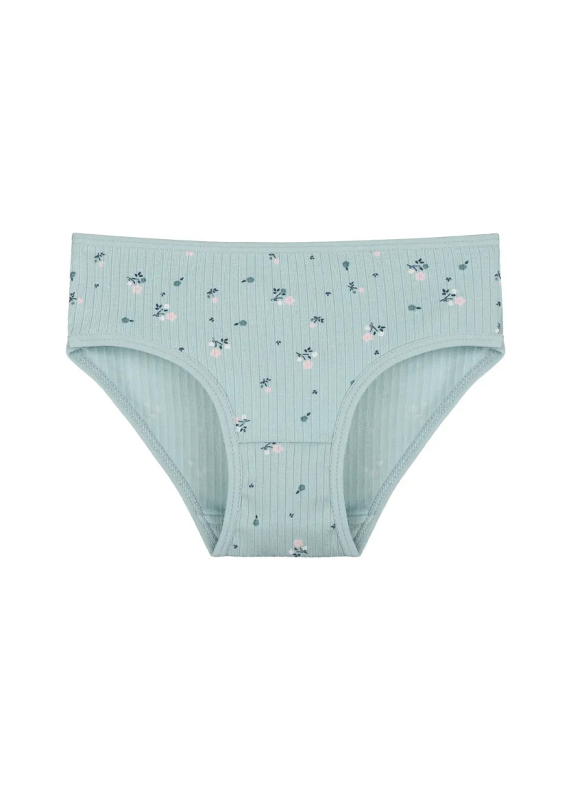 Donella 411301 Assorted 10-Pack Girls' Briefs — factory-direct from Turkey