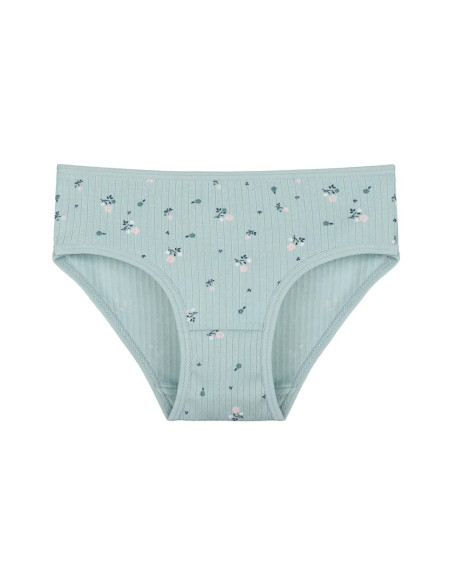 Donella 411301 Assorted 10-Pack Girls' Briefs — factory-direct from Turkey