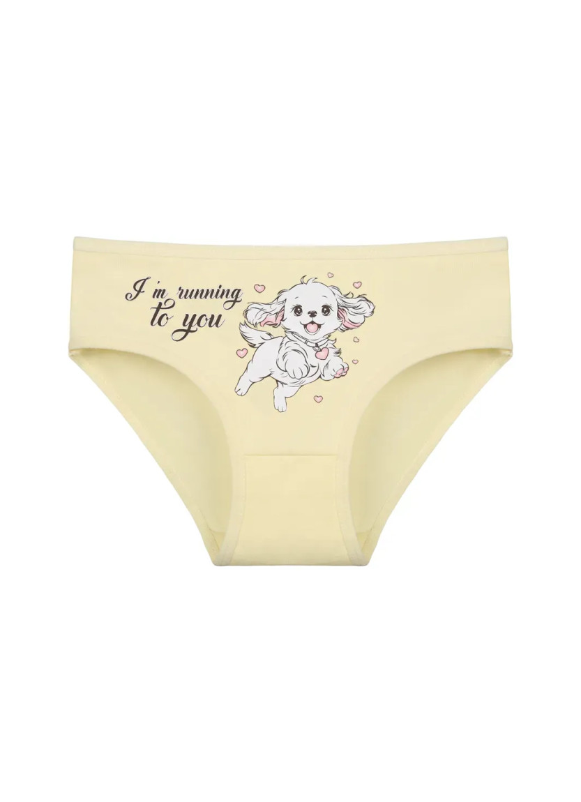 Donella 4171PB130 Assorted 10-Pack Girls' Briefs — Turkish textile wholesale