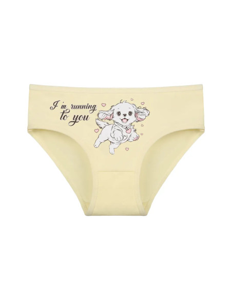 Donella 4171PB130 Assorted 10-Pack Girls' Briefs — Turkish textile wholesale
