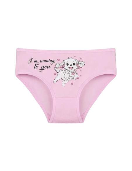 Donella 4171PB130 Assorted 10-Pack Girls' Briefs — wholesale from Turkey