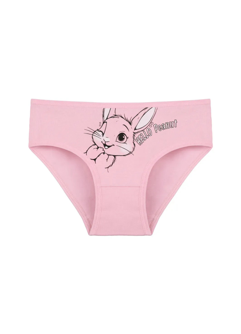 Donella 4171PB159 Assorted 10-Pack Girls' Briefs — wholesale for boutiques