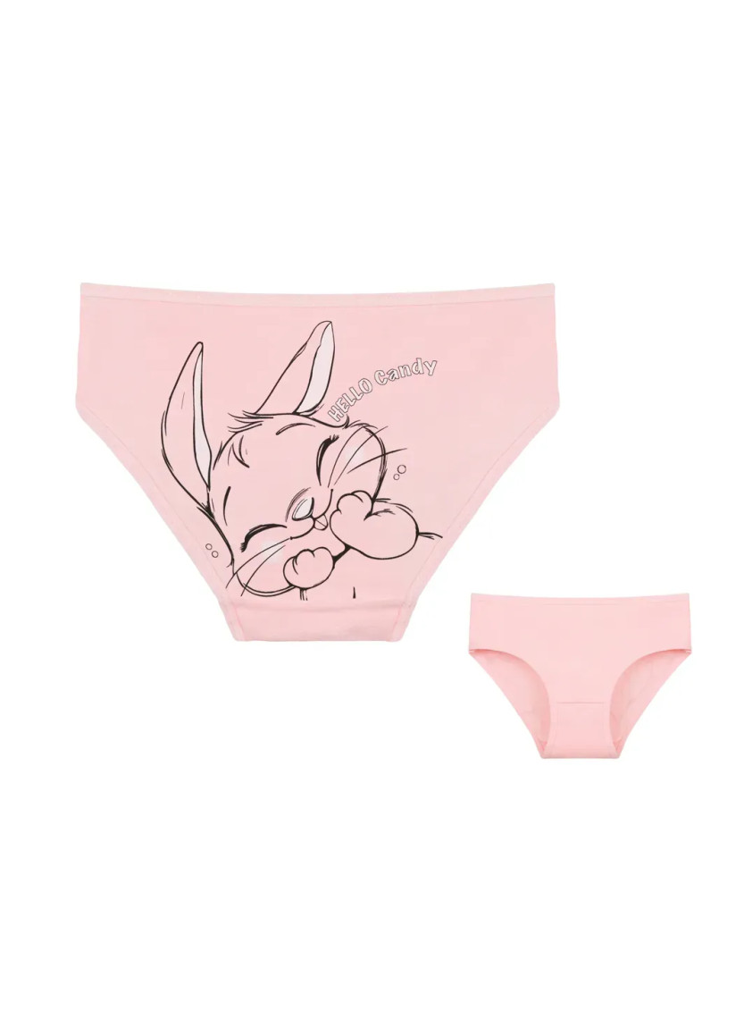 Donella 4171PB159 Assorted 10-Pack Girls' Briefs — Turkey wholesale collection