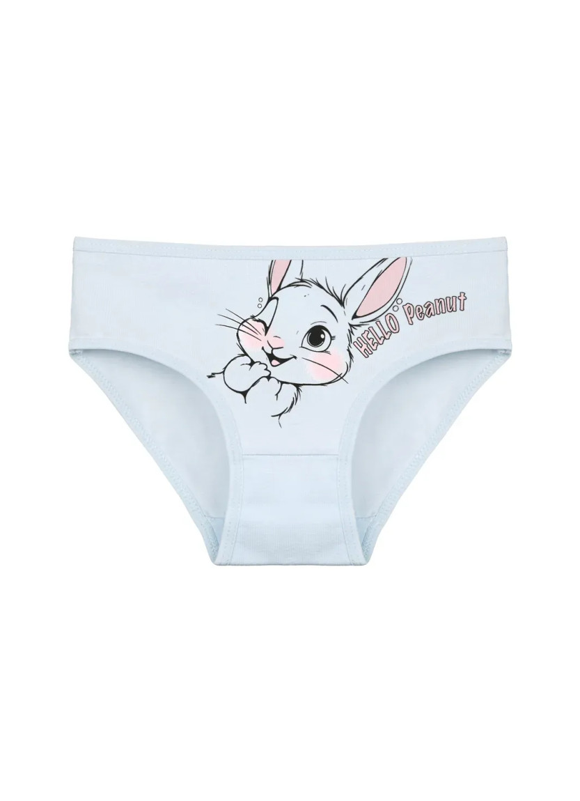 Donella 4171PB159 Assorted 10-Pack Girls' Briefs — Turkish factory wholesale