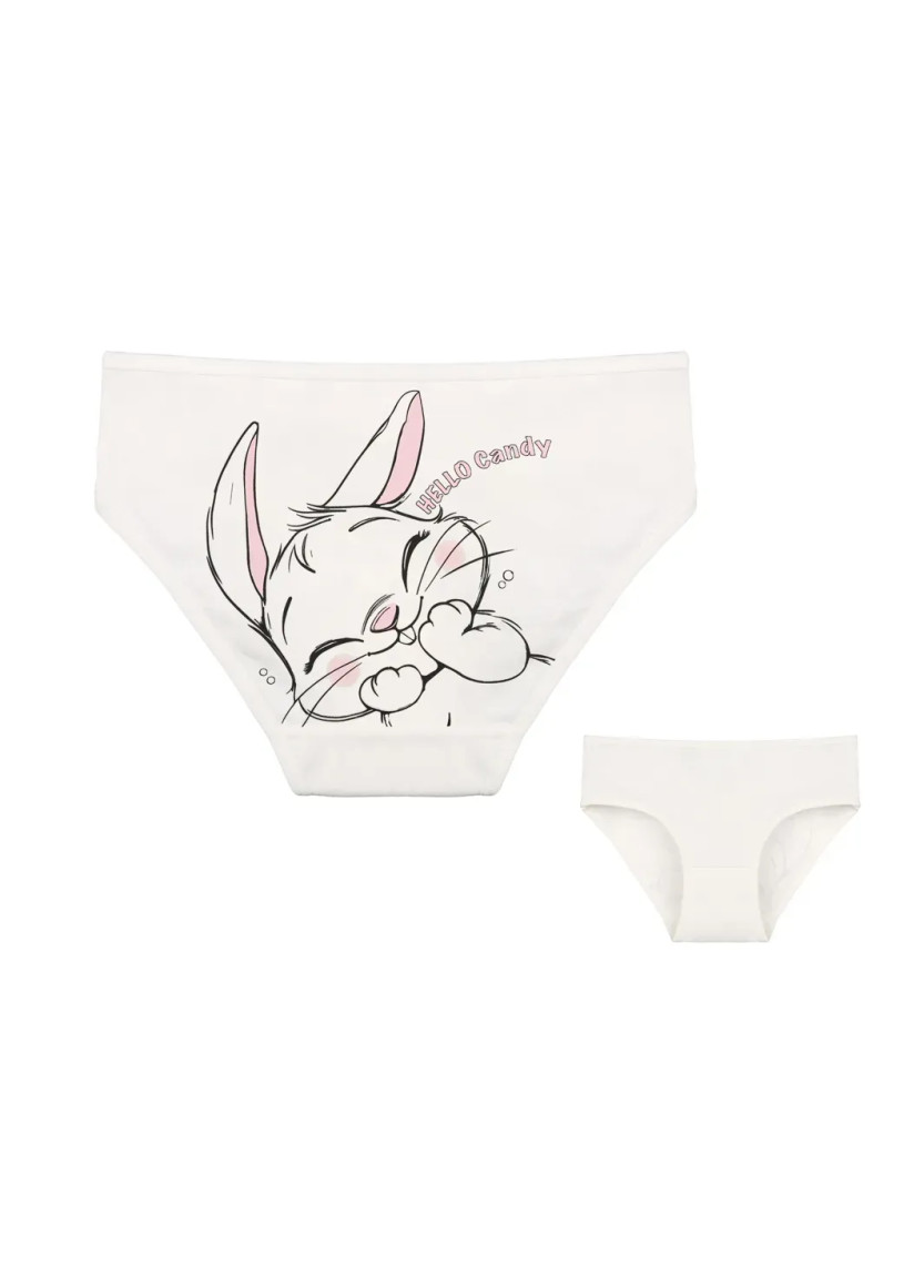 Donella 4171PB159 Assorted 10-Pack Girls' Briefs — Istanbul wholesale supplier