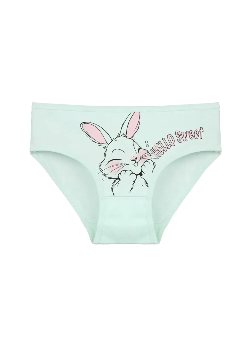Donella 4171PB159 Assorted 10-Pack Girls' Briefs — wholesale for boutiques