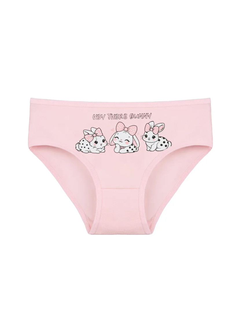 Donella 4171PB160 Assorted 10-Pack Girls' Briefs — Turkish textile wholesale