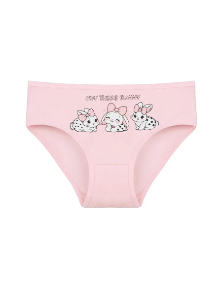 Donella 4171PB160 Assorted 10-Pack Girls' Briefs — Turkish textile wholesale