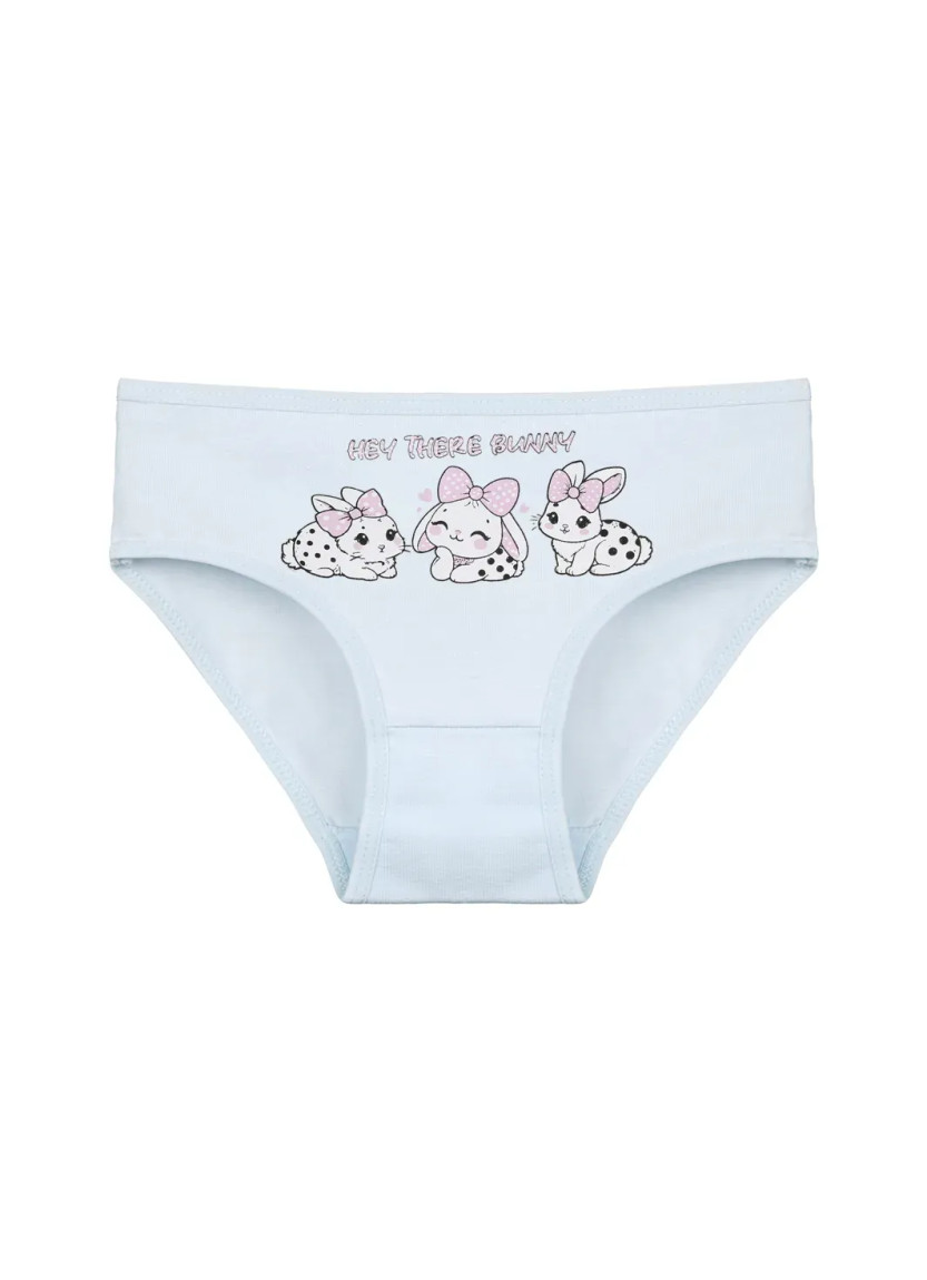 Donella 4171PB160 Assorted 10-Pack Girls' Briefs — direct Turkish factory supply