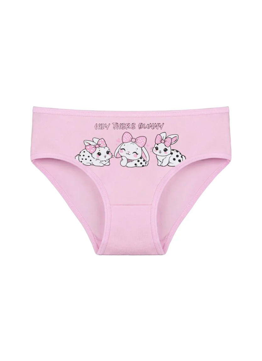 Donella 4171PB160 Assorted 10-Pack Girls' Briefs — Turkish textile wholesale