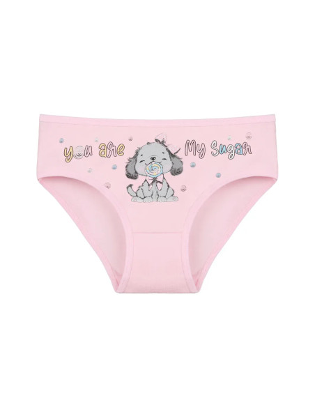 Donella 4171PB177 Assorted 10-Pack Girls' Briefs — Istanbul wholesale supplier