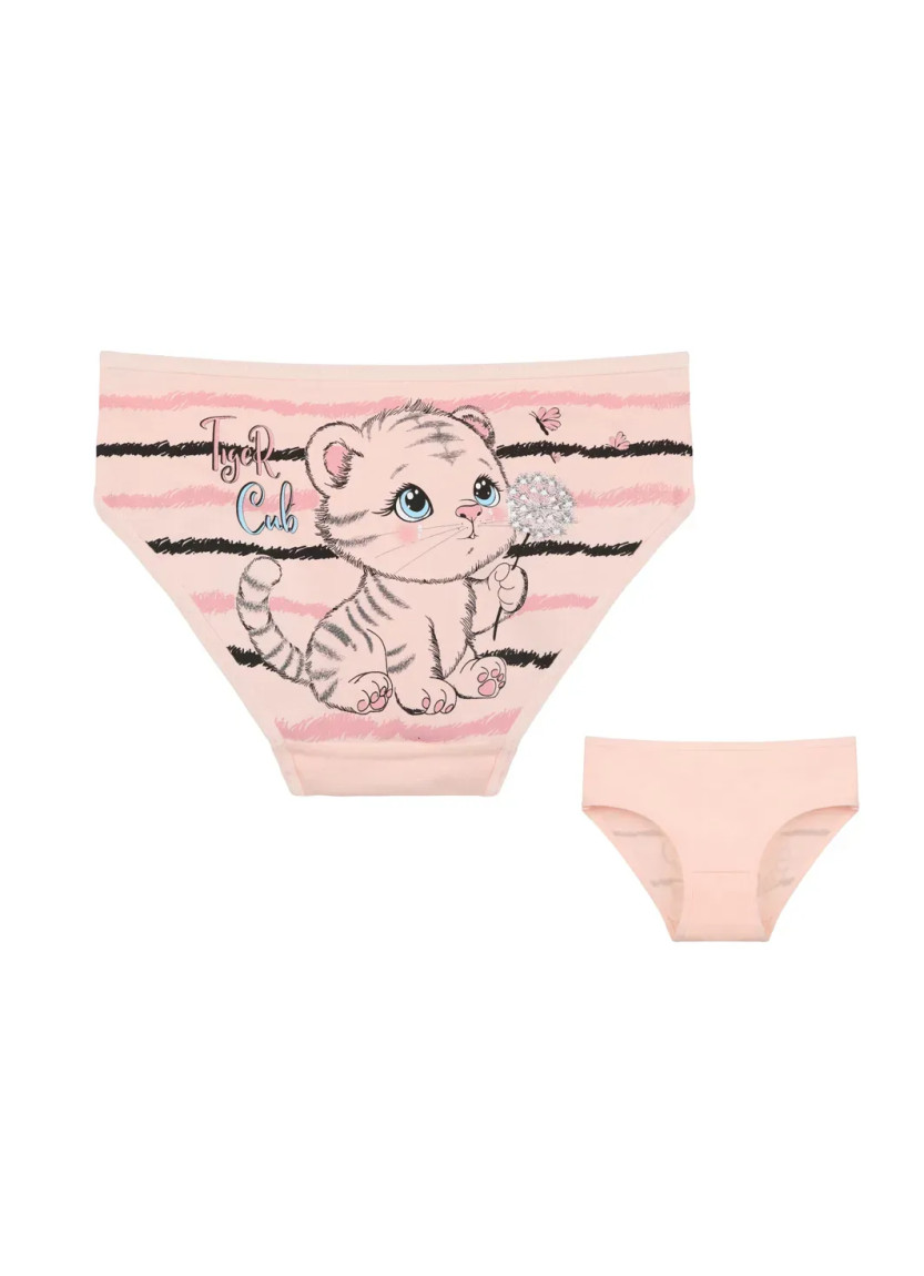 Donella 4171PB201 Assorted 10-Pack Girls' Briefs — Turkish textile wholesale