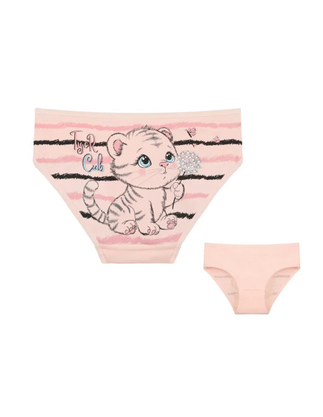 Donella 4171PB201 Assorted 10-Pack Girls' Briefs — Turkish textile wholesale