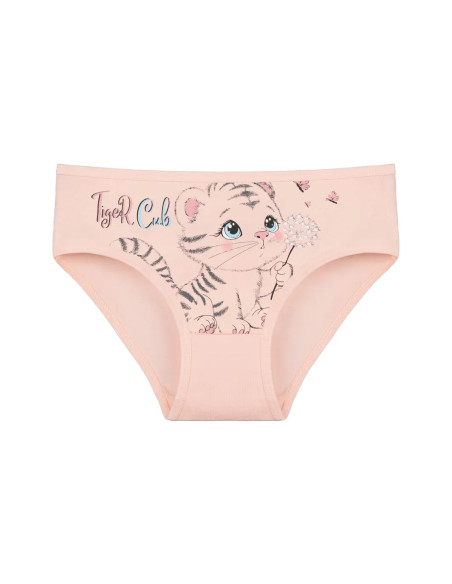 Donella 4171PB201 Assorted 10-Pack Girls' Briefs — wholesale from Turkey