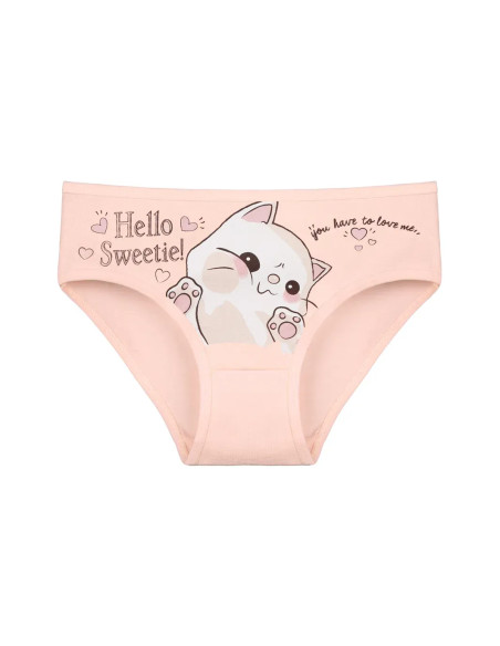Donella 4171PB202 Assorted 10-Pack Girls' Briefs — wholesale for boutiques