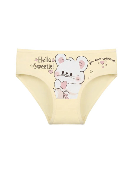 Donella 4171PB202 Assorted 10-Pack Girls' Briefs — Turkey wholesale collection