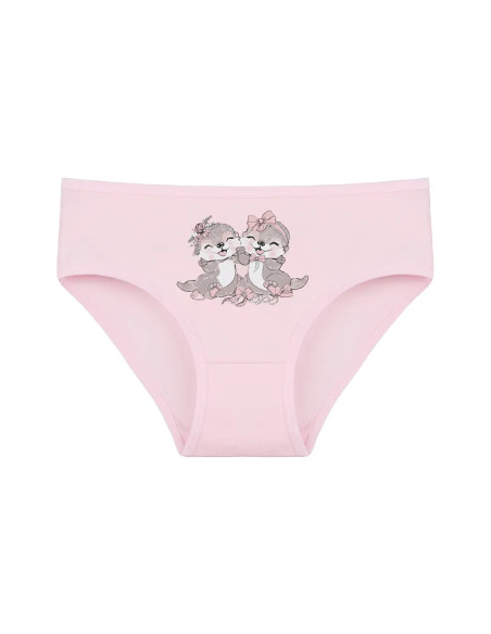 Donella 4171PB209 Assorted 10-Pack Girls' Briefs — Turkey wholesale collection