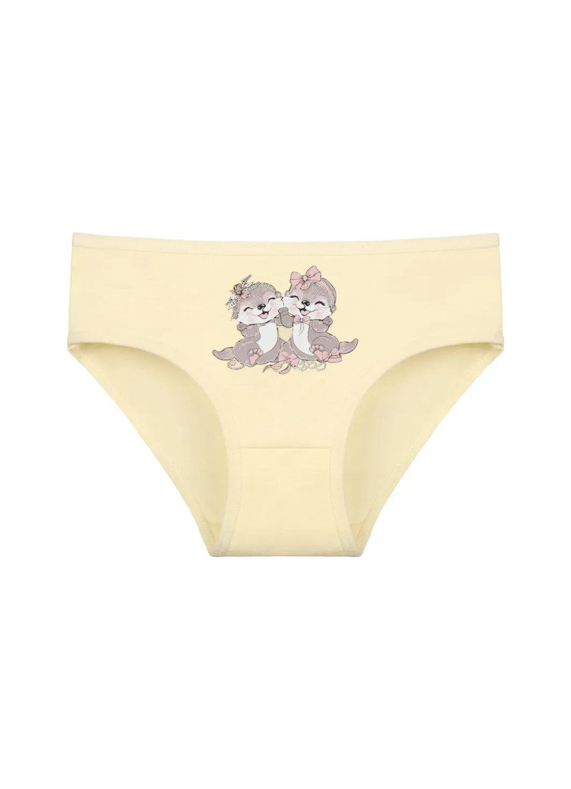 Donella 4171PB209 Assorted 10-Pack Girls' Briefs — Istanbul wholesale supplier