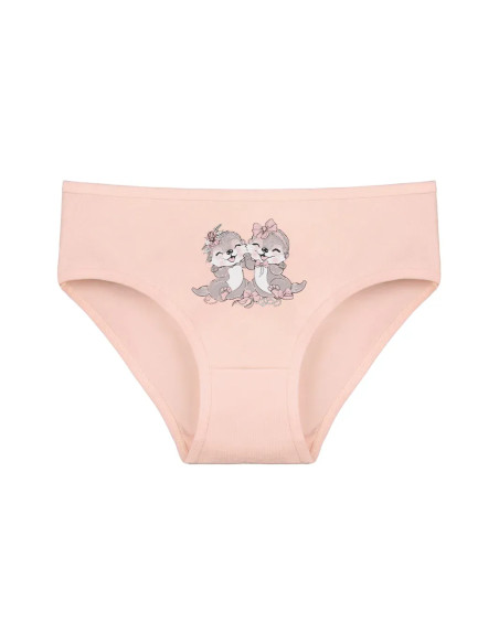 Donella 4171PB209 Assorted 10-Pack Girls' Briefs — wholesale for boutiques