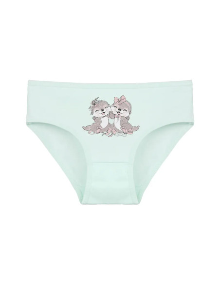Donella 4171PB209 Assorted 10-Pack Girls' Briefs — Turkey wholesale collection