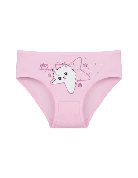 Donella 4171PB214 Assorted 10-Pack Girls' Briefs — Istanbul wholesale supplier