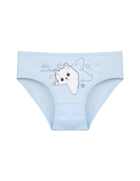 Donella 4171PB214 Assorted 10-Pack Girls' Briefs — wholesale for boutiques