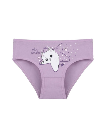 Donella 4171PB214 Assorted 10-Pack Girls' Briefs — Istanbul wholesale supplier