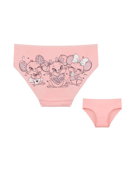 Donella 4171PB225 Assorted 10-Pack Girls' Briefs — Turkish factory wholesale