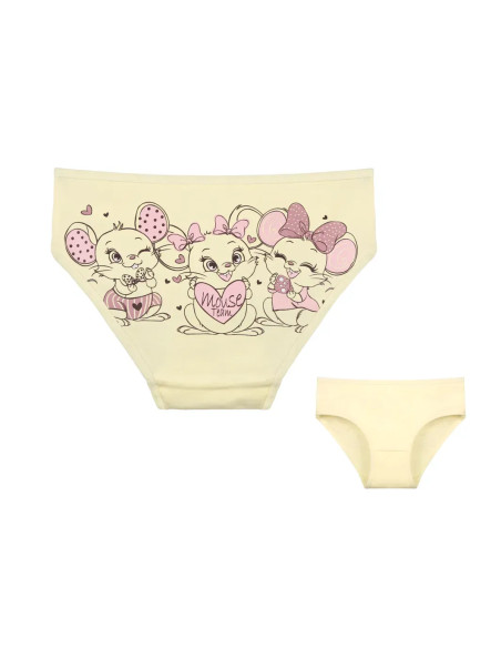 Donella 4171PB225 Assorted 10-Pack Girls' Briefs — Turkey wholesale collection