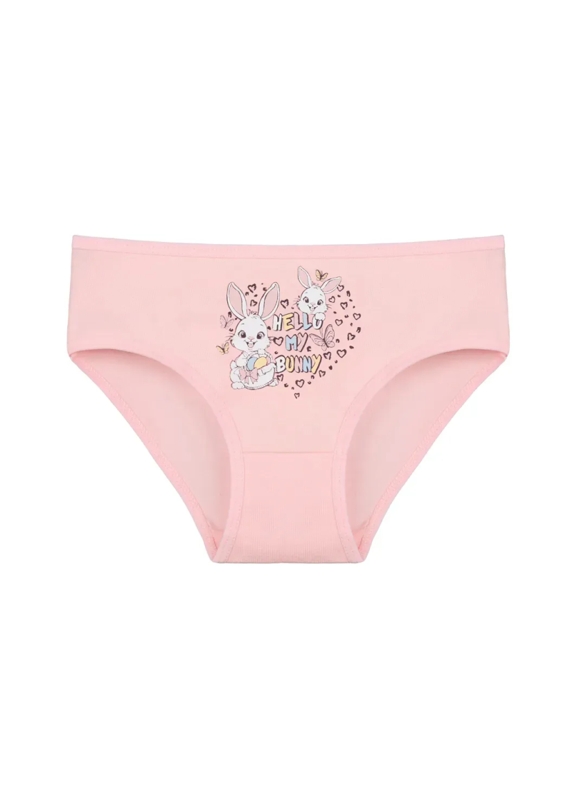 Donella 4171PB235 Assorted 10-Pack Girls' Briefs — Istanbul wholesale supplier