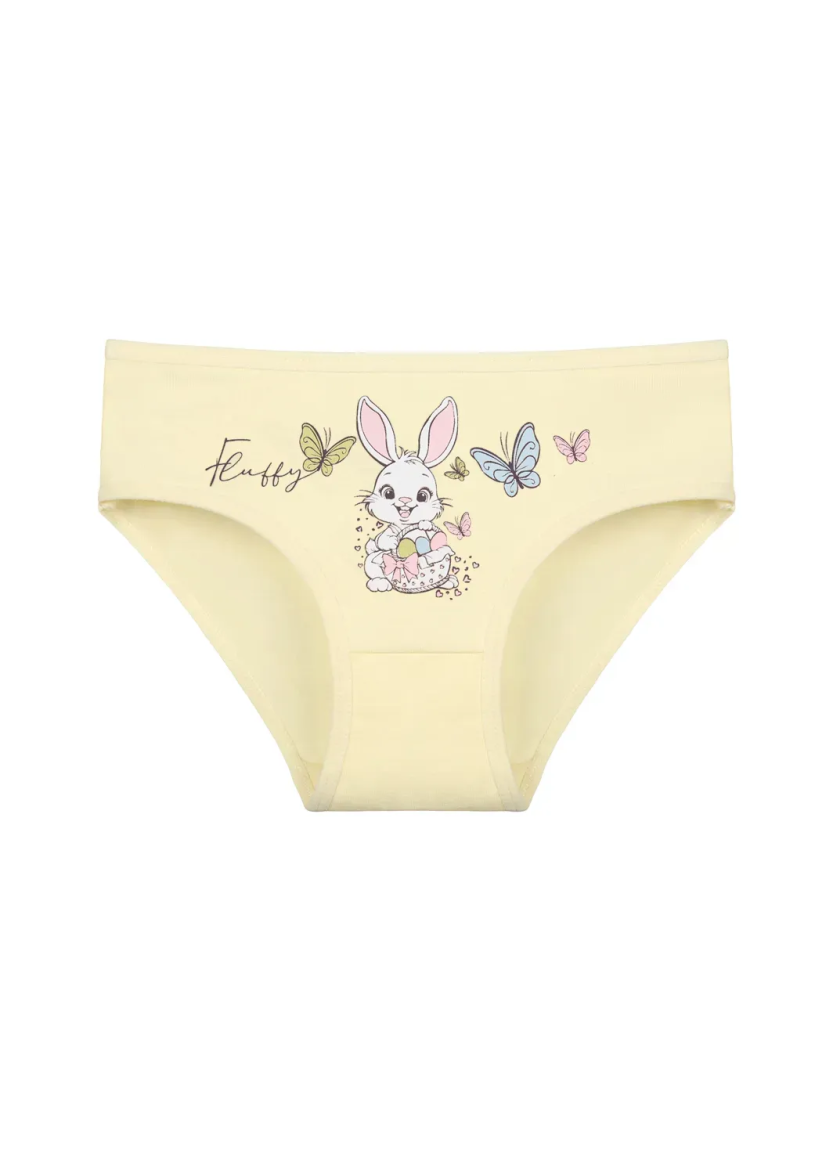 Donella 4171PB235 Assorted 10-Pack Girls' Briefs — Turkey wholesale collection
