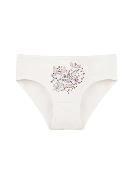 Donella 4171PB235 Assorted 10-Pack Girls' Briefs — Istanbul wholesale supplier