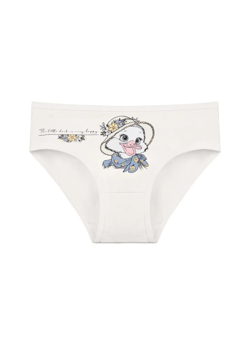 Donella 4171PB237 Assorted 10-Pack Girls' Briefs — Istanbul wholesale supplier